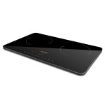 Rchaud induction darkfire double plaque induction double