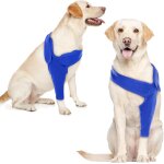 Recovery sleeve coudière pour chien - protection de coude pour chien - manchon de récupération chirurgicale ... Recovery sleeve coudière pour chien - protection de coude pour chien - manchon de récupération chirurgicale ...