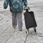 Relaxdays chariot de courses poussette de march� chariot � tirer
