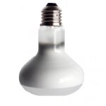 Reptile daylight beam basking spot lampe chaleur