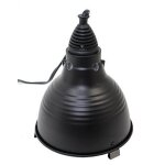 Reptiles planet compl�ment nutritionnel pour tortue terrestre / l�zard herbivore