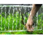Rideau pour aquarium, tube a bulles d'air, pompe d'aration, tube d'air, rservoir de poisson, s outils, ...