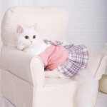 Robe de princesse pour animaux de compagnie, tenue de printemps et d'automne, confortable, pour chiot, ...