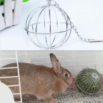 Rondes en acier inoxydable sphre d'alimentation distribuer l'exercice suspendu foin balle cobaye hamster ...