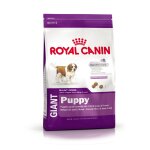 Royal canin croquettes giant puppy 15kg Royal canin croquettes giant puppy 15kg