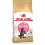 Royal canin maine coon kitten croquette pour chat 4 kg chatons volaille, riz