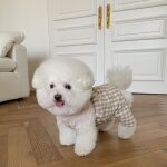 Salopette a carreaux pour chien, jupe pour chien, bretelles rétro, vêtements pour animaux de compagnie, ... Salopette a carreaux pour chien, jupe pour chien, bretelles rétro, vêtements pour animaux de compagnie, ...