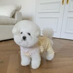 Salopette a carreaux pour chien, jupe pour chien, bretelles rétro, vêtements pour animaux de compagnie, ... Salopette a carreaux pour chien, jupe pour chien, bretelles rétro, vêtements pour animaux de compagnie, ...