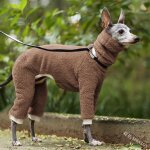 Salopette a col long pour grands chiens, vtements d'hiver pour chiens, manteau chaud malamut d'alaska, ...