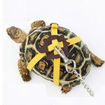 Sangle sfp en cuir pour tortue et animal de compagnie, ulde contrle de la marche, collier de poitrine ...