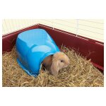 Savic - maisonnette cocoon en plastique pour cobaye et lapin nain