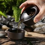 Service a th kung fu voyage chine, 1 thire, 1 tasse, portable, gaiwan, bouilloire, tasse a caf, verres ...