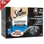 Sheba classiques pour chats 72 barquettes terrine coffret oc�an 85g (6x12)