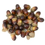 Simulation de fruits artificiels en plastique, 20 pièces, pignons de noël, mousse de gland, bricolage, ... Simulation de fruits artificiels en plastique, 20 pièces, pignons de noël, mousse de gland, bricolage, ...