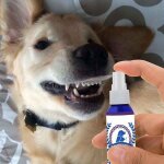 Soin buccal pour chats, 60ml, spray dentaire pour chiens, elimine les odeurs, assainisseur d'haleine, ...