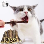 Offre spciale propre lumineux chat jouet costume dentifrice nettoyage branche dents argent chat vigne ...