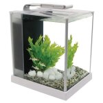 Spec fluval aquarium 10 l blanc Spec fluval aquarium 10 l blanc