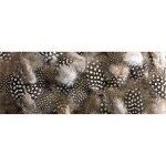 Sticker d�coratif pour t�te de lit, plumes magniques et douce pour dormir paisiblement, 83 cm x 160 cm ...