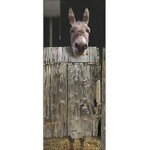 Sticker d�coratif pour porte, trompe l'oeil, porte en bois, ?ne dans un ?table, avec de la paille et ...