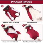 Subzonal - cobee combinaison de convalescence professionnelle pour chat pour plaies abdominales ou maladies ...