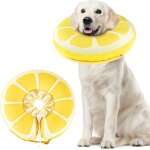 Subzonal - collerette chien gonflable, collerette pour chiens et chats, collerette chien anti lechage ...