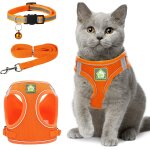 Subzonal - colliers, harnais et laisses pour chats harnais chaton anti evasion rflchissant rglable ...