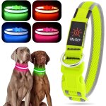 Subzonal - collier led rechargeable pour chiot et chat - confortable - vert - taille l