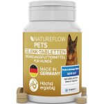 Subzonal - complment alimentaire arthrose chien produit prim 2024 - comprims anti - arthrose articulations ...