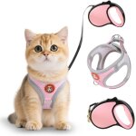 Subzonal - harnais pour chat avec laisse enrouleur, arnet pour chat et 5m laisse pour cha t r�tractables ...