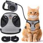Subzonal - harnais chat laisse pour petit chien harnais chaton collier, harnais chaton et 5m laisse chat ...