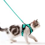 Subzonal - harnais chat petit chien laisse harnais chaton r�glable gilet refl�chissant respirant, collier ...