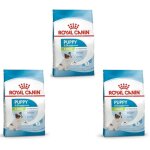 Subzonal - royal canin x - small puppy pack de 3 3 x 500g croquettes pour chiots de très petites races ... Subzonal - royal canin x - small puppy pack de 3 3 x 500g croquettes pour chiots de très petites races ...