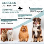Subzonal - vermifuge chat & chien liquide en pipette 120 ml 100 % naturel - provision 2 - 4 ans - anti ... Subzonal - vermifuge chat & chien liquide en pipette 120 ml 100 % naturel - provision 2 - 4 ans - anti ...