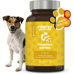 Subzonal - vermifuge chien a base d'extraits de plante. 120 comprimés. contre les vers. 100% naturel. ... Subzonal - vermifuge chien a base d'extraits de plante. 120 comprimés. contre les vers. 100% naturel. ...