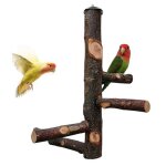Support en bois pour oiseaux, perche avec vis et ecrou multiples supports sans peinture, jouet a mâcher ... Support en bois pour oiseaux, perche avec vis et ecrou multiples supports sans peinture, jouet a mâcher ...
