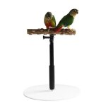 Support de bureau pour perroquet, perchoir portable, outil d'entranement, perchoir en bois, echelle ...