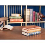 Support du livre erneste