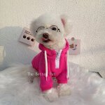 Sweat a capuche chaud pour animaux de compagnie, vtements pour chiens, optique, tenues pour animaux ...