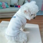 Sweats a capuche a col roul pour petits chiens chiwawa kitten, sweat - shirt, pull, chemise astronomique ...