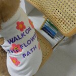 Sweat a capuche a fleurs brodées pour animaux de compagnie, vêtements pour petits chiens, doux et chauds, ... Sweat a capuche a fleurs brodées pour animaux de compagnie, vêtements pour petits chiens, doux et chauds, ...