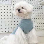 Sweat a col roulé sans manches pour chien, chemise vierge pour animaux de compagnie, gilet pour petit ... Sweat a col roulé sans manches pour chien, chemise vierge pour animaux de compagnie, gilet pour petit ...