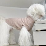 Sweat a col roul sans manches pour chien, chemise vierge pour animaux de compagnie, gilet pour petit ...