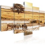 Tableau tableau africain et ethnique z�bres dans la savane 100 x 50 cm