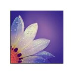 Tableau deco ptale de fleurs violet declina 50x50 violet
