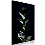 Tableau fleurs in the moonlight (1 part) vertical 60 x 90 cm