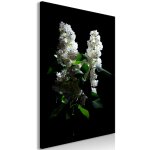 Tableau fleurs lilacs at night (1 part) vertical 60 x 90 cm