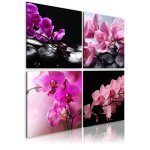 Tableau fleurs orchid�es plus belles que jamais 40 x 40 cm