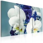 Tableau fleurs orchid�es chim�riques 120 x 80 cm