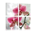Tableau fleurs orchid�e de fantaisie 40 x 40 cm