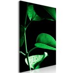 Tableau fleurs plant in black (1 part) vertical 60 x 90 cm